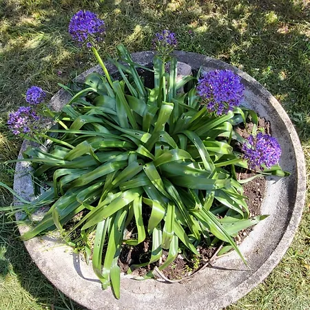 Villa * La Garde (Var)