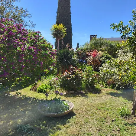 Villa Villa